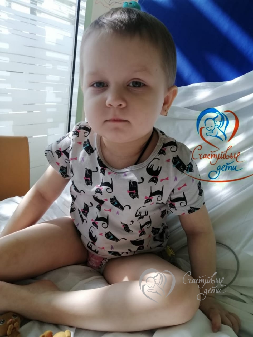 Новости Вики