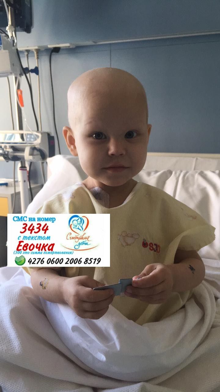 ‼️НОВОСТИ ЕВЫ ‼️